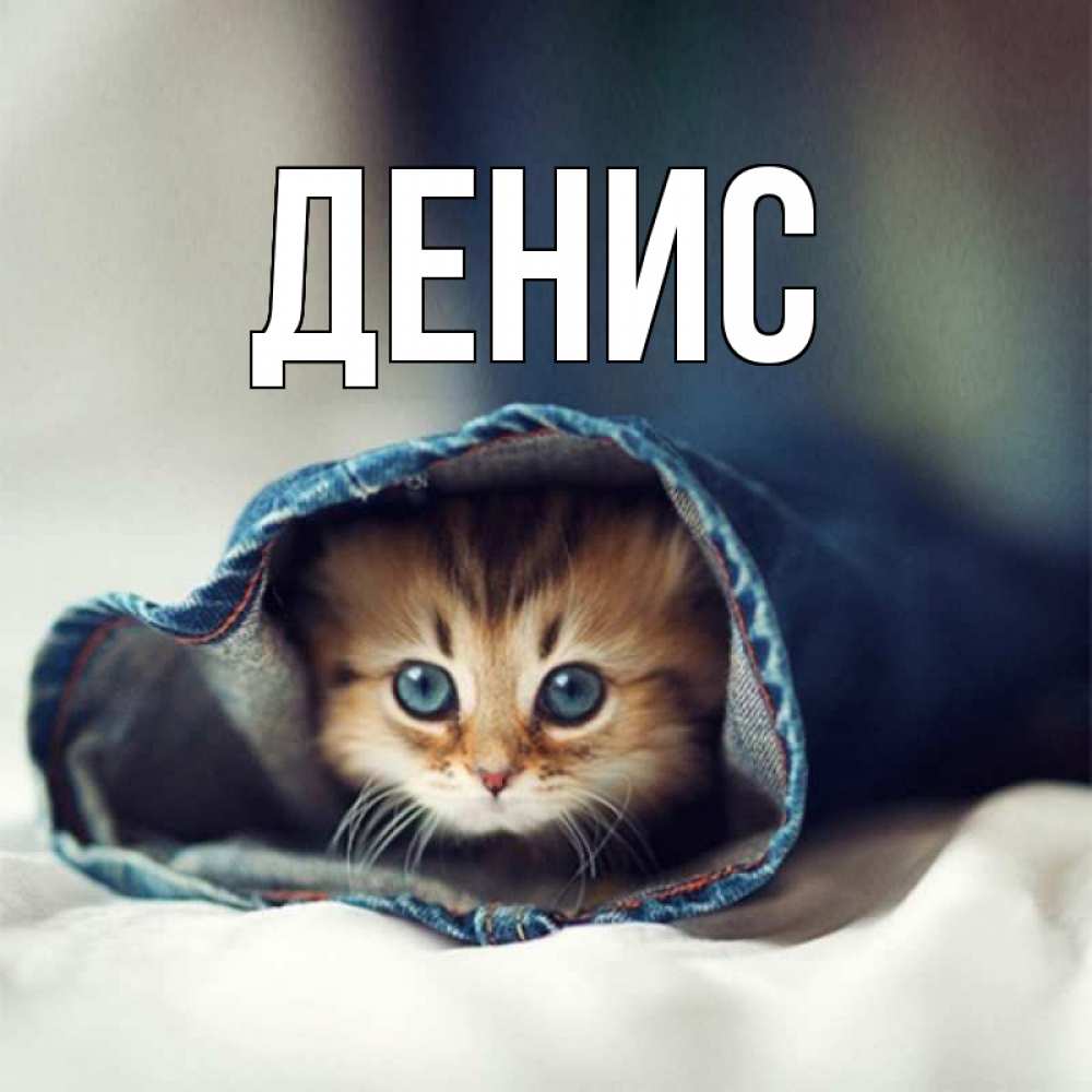 Денис картинки