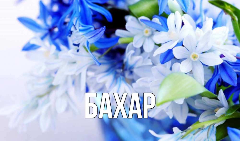 Открытка на каждый день с именем, Бахар Главная С 1 мая Прикольная открытка с пожеланием онлайн скачать бесплатно 