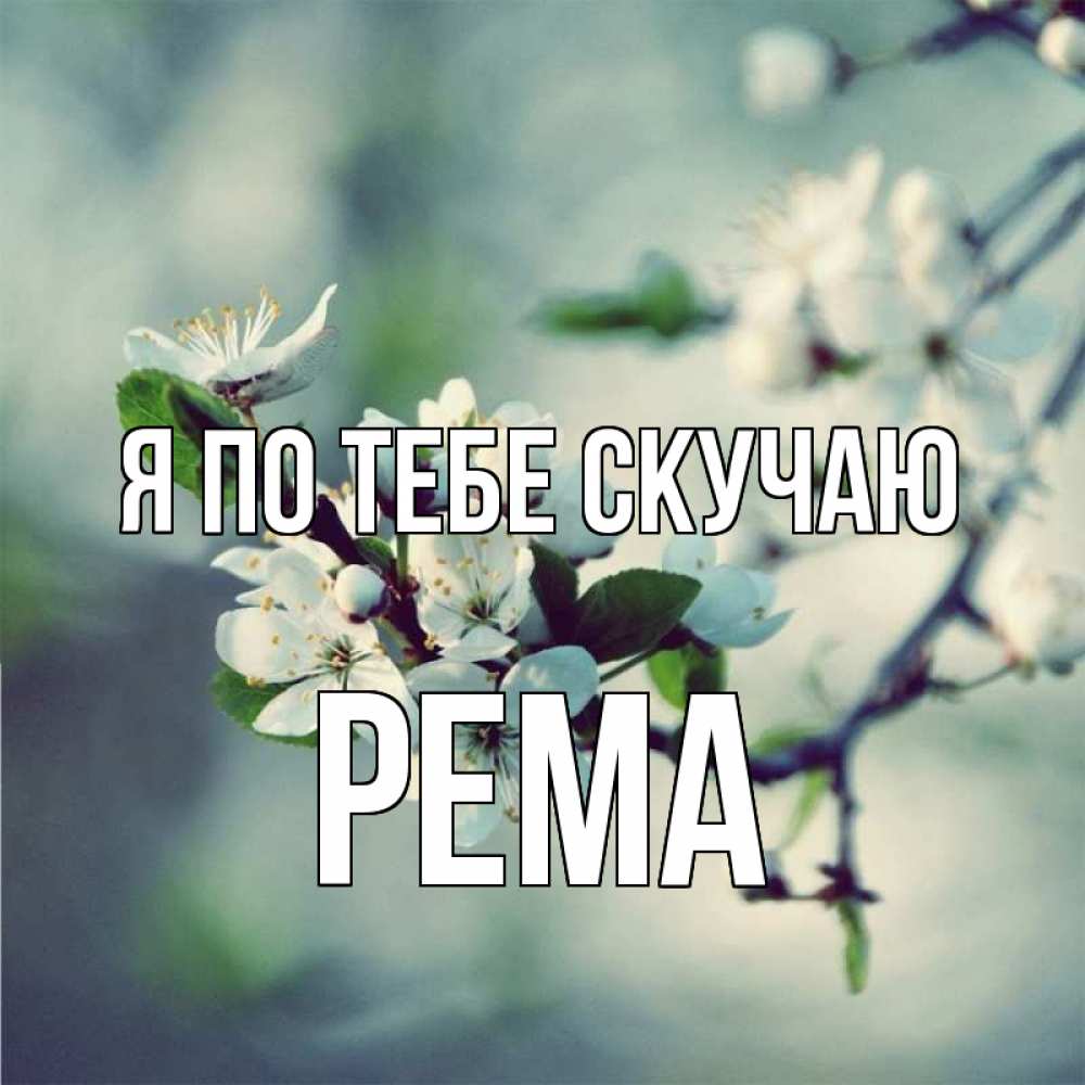 Открытка на каждый день с именем, Рема Я по тебе скучаю весна Прикольная открытка с пожеланием онлайн скачать бесплатно 