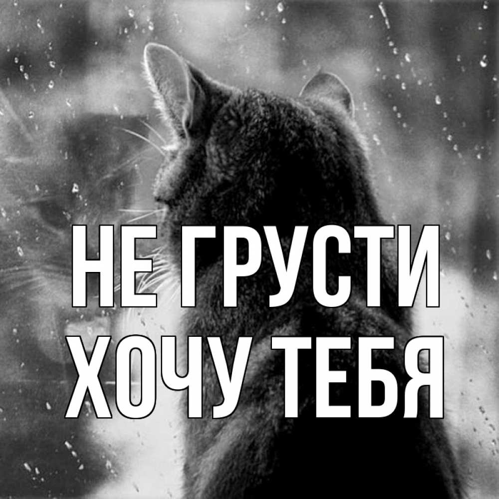 Картинка Не грусти, Хочу тебя