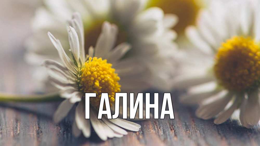 Открытка на каждый день с именем, Галина Главная с днем семьи Прикольная открытка с пожеланием онлайн скачать бесплатно 