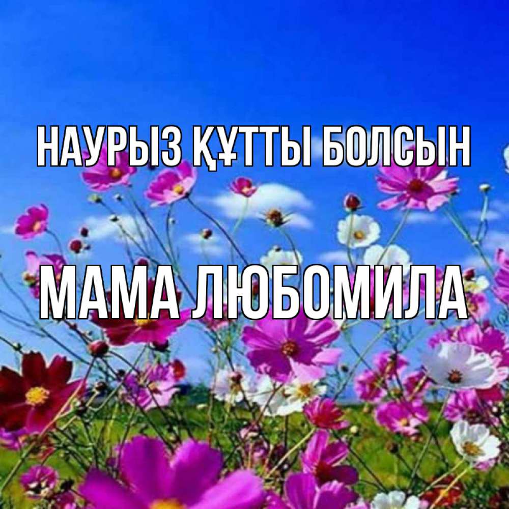 Открытка на каждый день с именем, Мама-Любомила Наурыз құтты болсын цветы Прикольная открытка с пожеланием онлайн скачать бесплатно 
