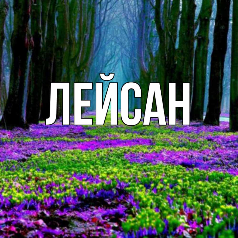 Картинки с именем ляйсан