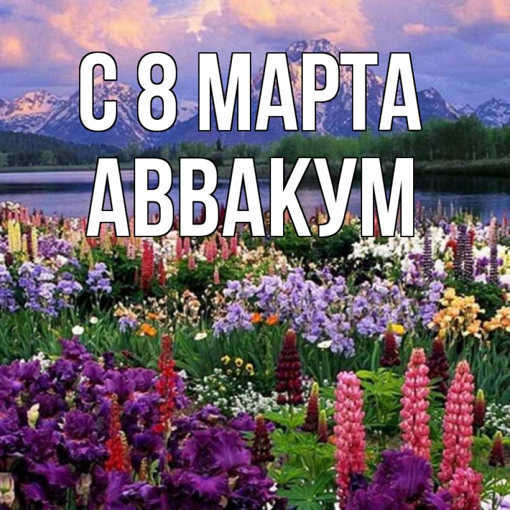 Открытка на каждый день с именем, Аввакум С 8 МАРТА международный женский день Прикольная открытка с пожеланием онлайн скачать бесплатно 