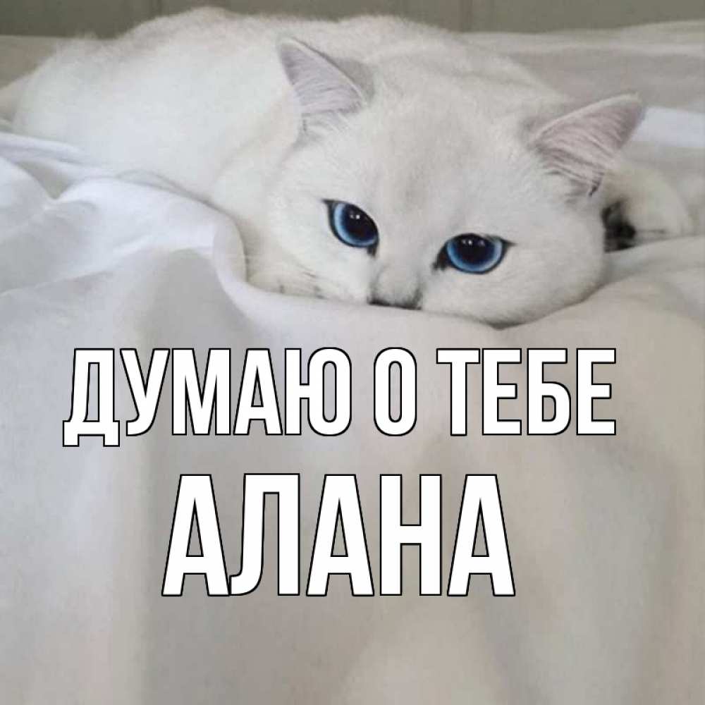 Открытка на каждый день с именем, Алана Думаю о тебе я очень по тебе скучаю и тоскую Прикольная открытка с пожеланием онлайн скачать бесплатно 