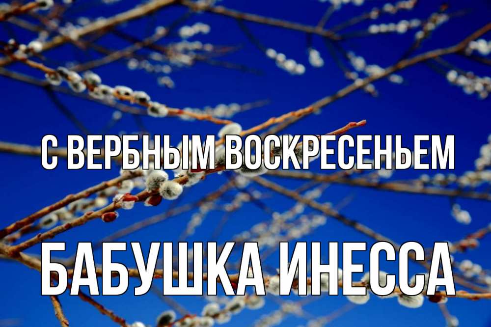 Открытка на каждый день с именем, Бабушка-Инесса С вербным воскресеньем верба Прикольная открытка с пожеланием онлайн скачать бесплатно 