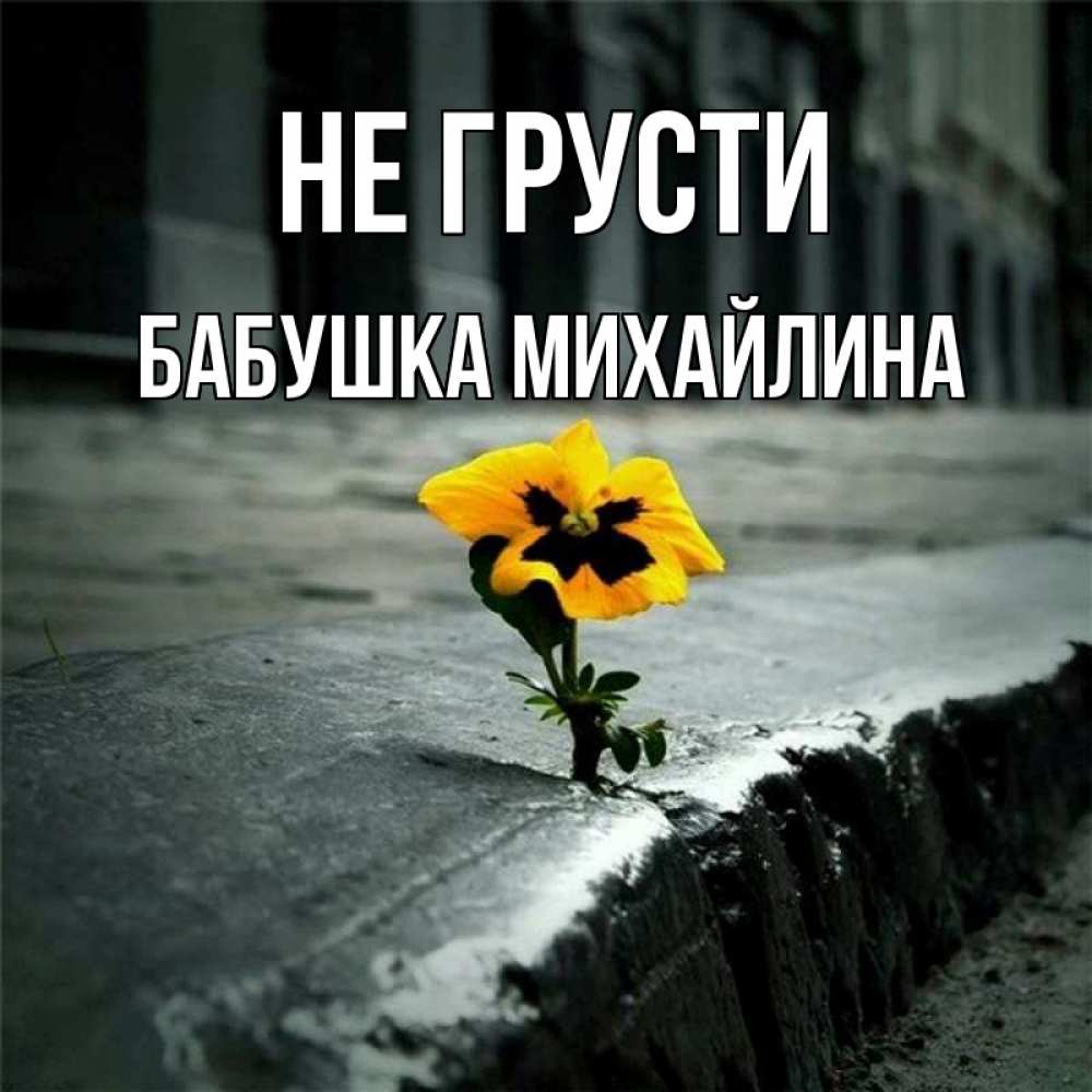 Открытка на каждый день с именем, Бабушка-Михайлина Не грусти не сдавайся Прикольная открытка с пожеланием онлайн скачать бесплатно 