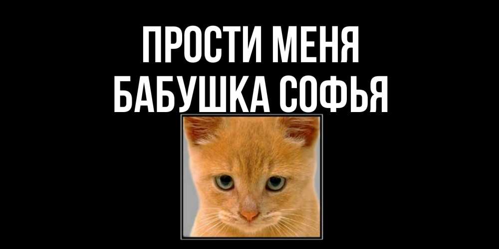 Открытка на каждый день с именем, Бабушка-Софья Прости меня рыжий грустный кот просит прощения Прикольная открытка с пожеланием онлайн скачать бесплатно 