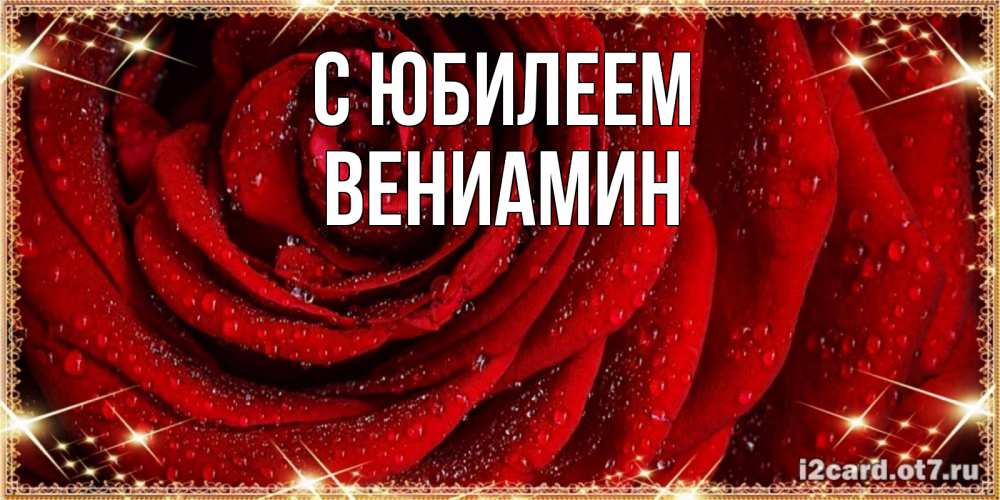 Открытка на каждый день с именем, Вениамин С юбилеем роса на розе блестящая в лучах солнца Прикольная открытка с пожеланием онлайн скачать бесплатно 
