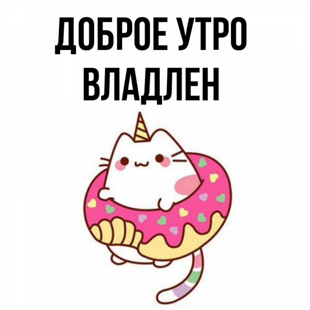 Открытка на каждый день с именем, Владлен Доброе утро кот в бублике Прикольная открытка с пожеланием онлайн скачать бесплатно 