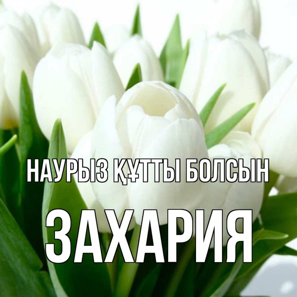 Открытка на каждый день с именем, Захария Наурыз құтты болсын цветы Прикольная открытка с пожеланием онлайн скачать бесплатно 