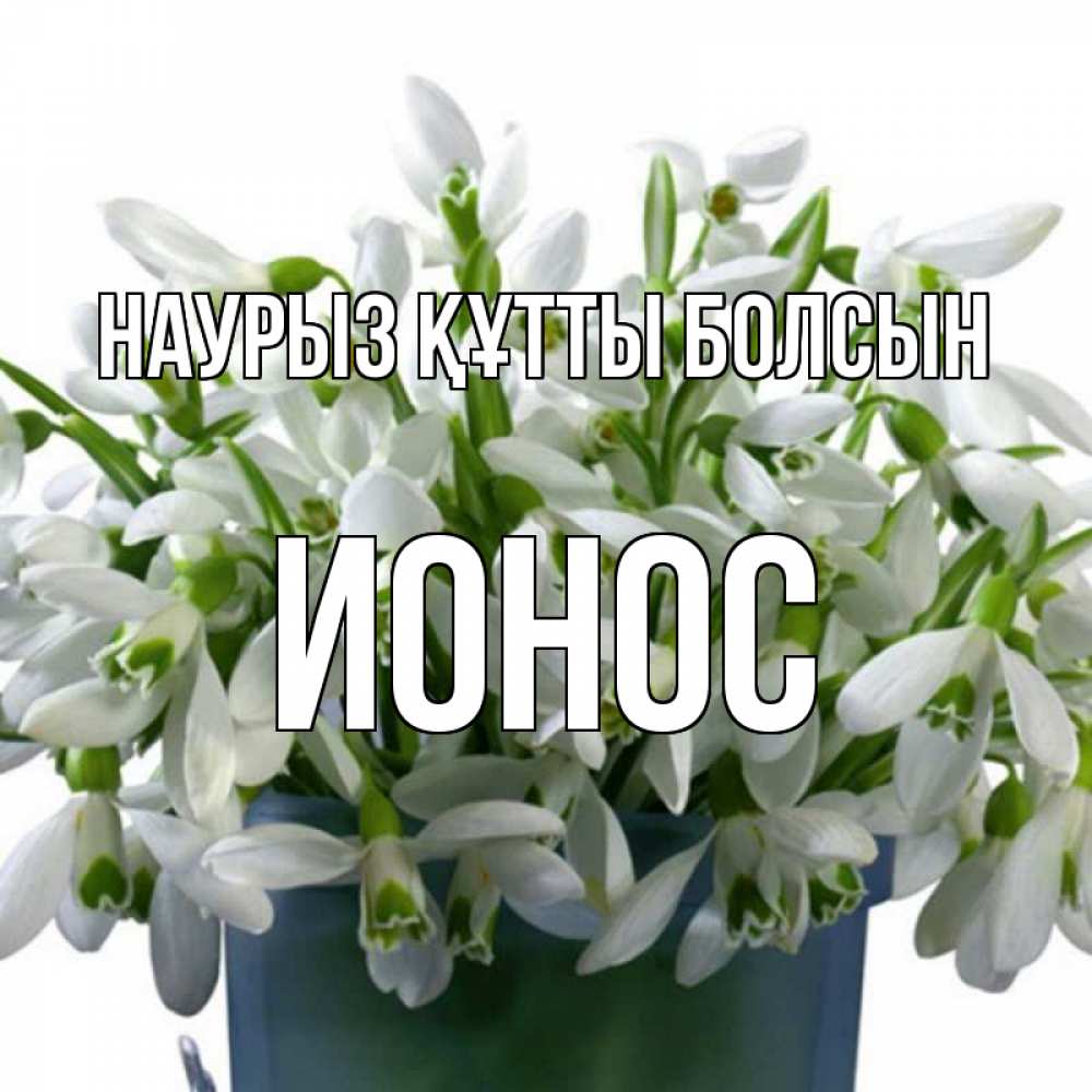Открытка на каждый день с именем, Ионос Наурыз құтты болсын цветы к наурызу Прикольная открытка с пожеланием онлайн скачать бесплатно 