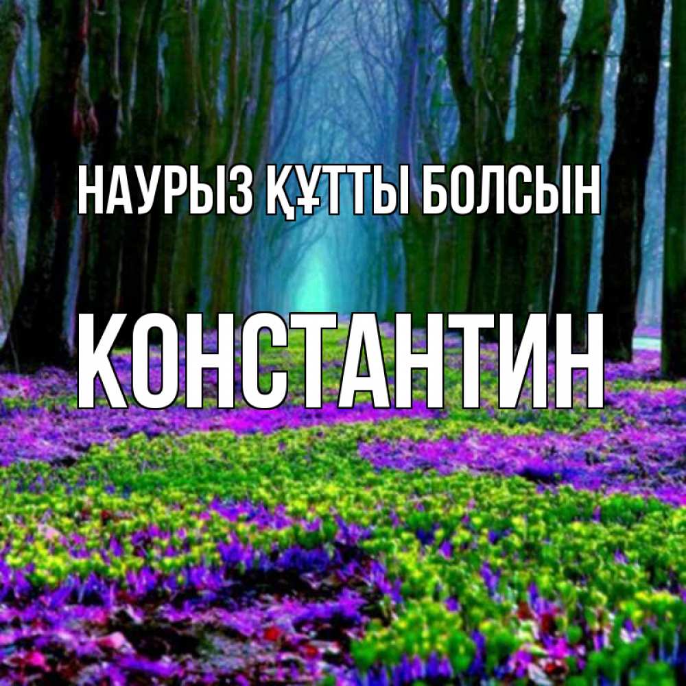 Открытка на каждый день с именем, Константин Наурыз құтты болсын фиолетовые цветы в лесу 1 Прикольная открытка с пожеланием онлайн скачать бесплатно 