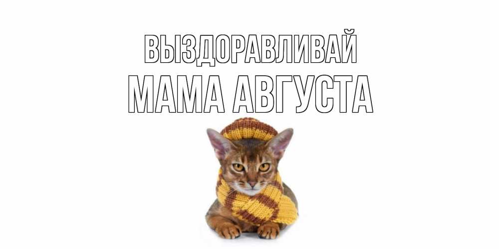 Открытка на каждый день с именем, Мама-Августа Выздоравливай родные не болейте Прикольная открытка с пожеланием онлайн скачать бесплатно 