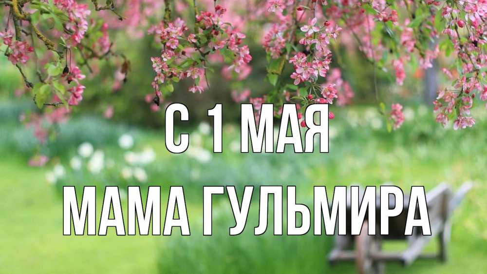 Открытка на каждый день с именем, Мама-Гульмира С 1 мая С 1 мая Прикольная открытка с пожеланием онлайн скачать бесплатно 