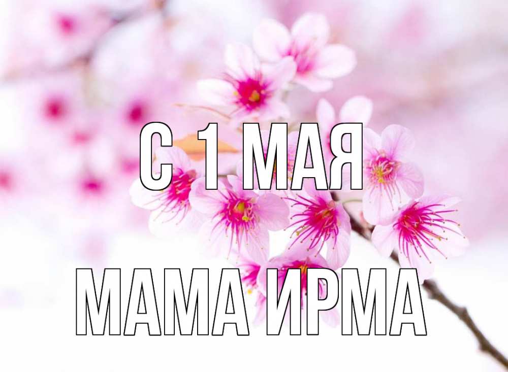 Открытка на каждый день с именем, Мама-Ирма С 1 мая С 1 мая 2 Прикольная открытка с пожеланием онлайн скачать бесплатно 