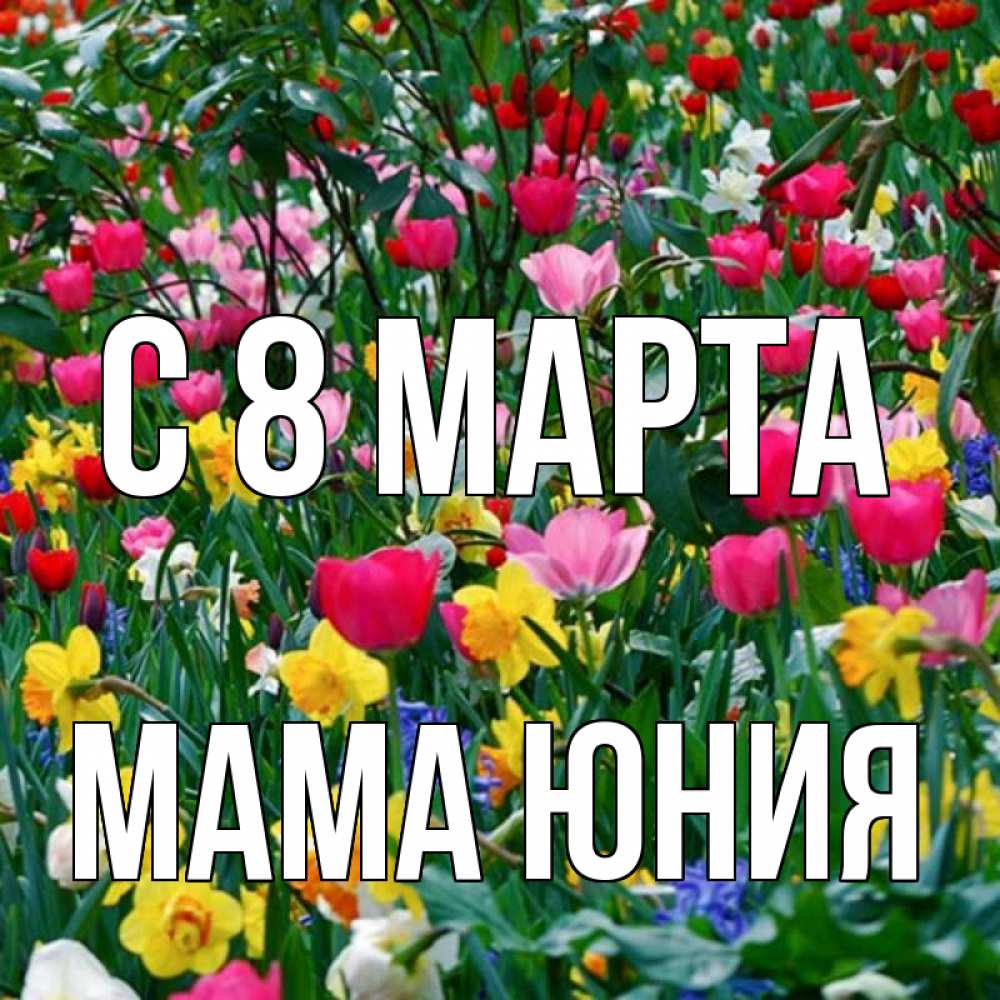 Открытка на каждый день с именем, Мама-Юния С 8 МАРТА с международным женским днем поздравления для женщины Прикольная открытка с пожеланием онлайн скачать бесплатно 