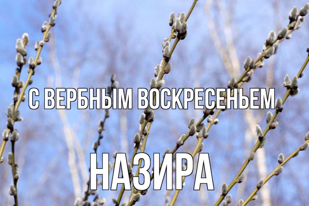 Открытка на каждый день с именем, Назира С вербным воскресеньем верба Прикольная открытка с пожеланием онлайн скачать бесплатно 