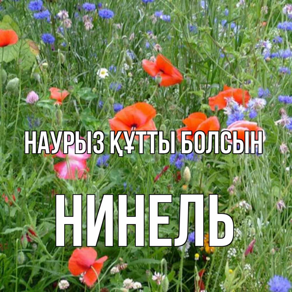 Открытка на каждый день с именем, Нинель Наурыз құтты болсын наурыз  4 Прикольная открытка с пожеланием онлайн скачать бесплатно 