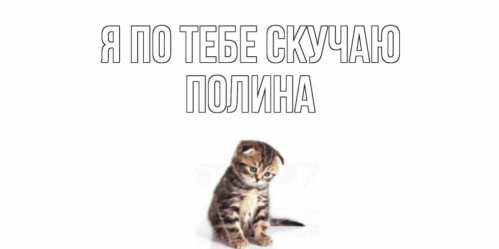 Открытка на каждый день с именем, Полина Я по тебе скучаю кот Прикольная открытка с пожеланием онлайн скачать бесплатно 