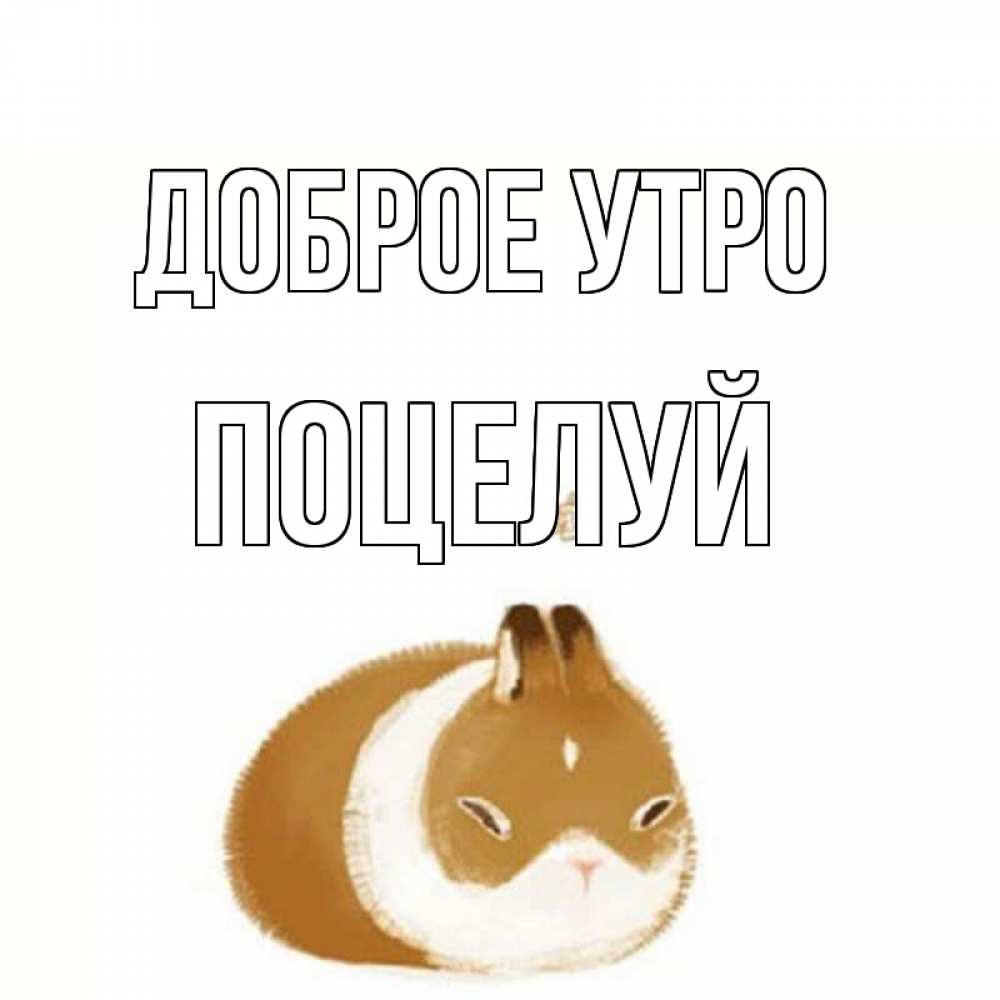 Открытка на каждый день с именем, Поцелуй Доброе утро хорошего утречка Прикольная открытка с пожеланием онлайн скачать бесплатно 