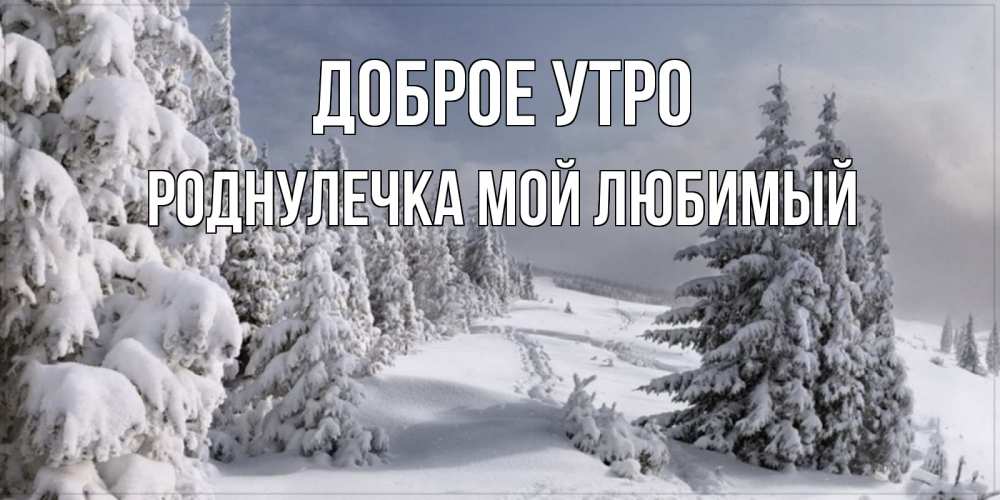 Открытка на каждый день с именем, Роднулечка-мой-любимый Доброе утро пасмурное утро Прикольная открытка с пожеланием онлайн скачать бесплатно 