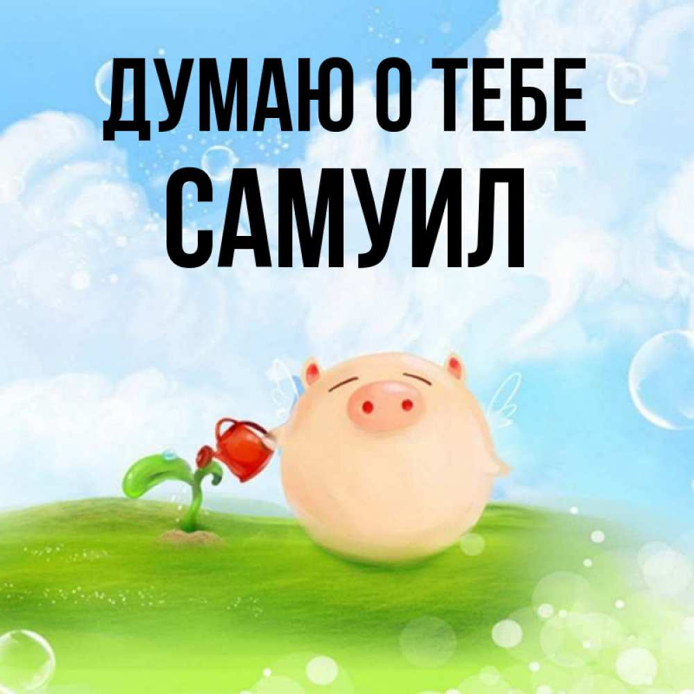 Открытка на каждый день с именем, Самуил Думаю о тебе позитивная свинюшка Прикольная открытка с пожеланием онлайн скачать бесплатно 