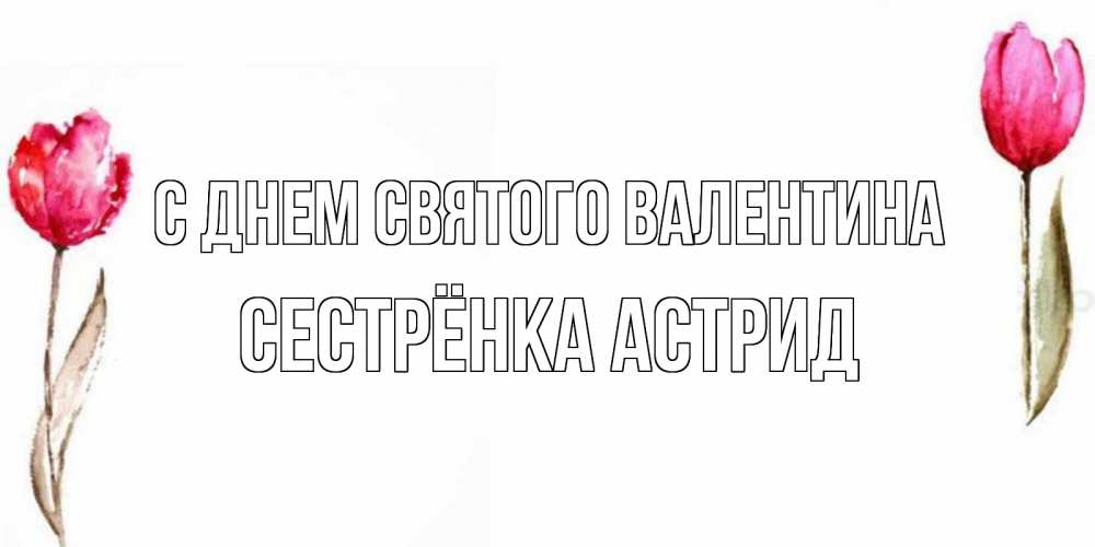 Открытка на каждый день с именем, Сестрёнка-Астрид С днем Святого Валентина Открытки на день всех влюбленных с тюльпанами акварелью Прикольная открытка с пожеланием онлайн скачать бесплатно 