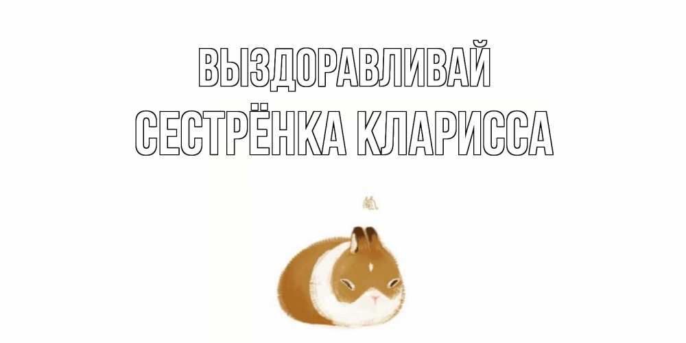 Открытка на каждый день с именем, Сестрёнка-Кларисса Выздоравливай морская свинка на открытке с пожеланиями не болеть Прикольная открытка с пожеланием онлайн скачать бесплатно 