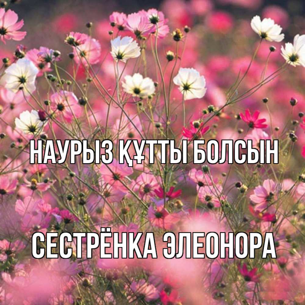 Открытка на каждый день с именем, Сестрёнка-Элеонора Наурыз құтты болсын красиво 1 Прикольная открытка с пожеланием онлайн скачать бесплатно 
