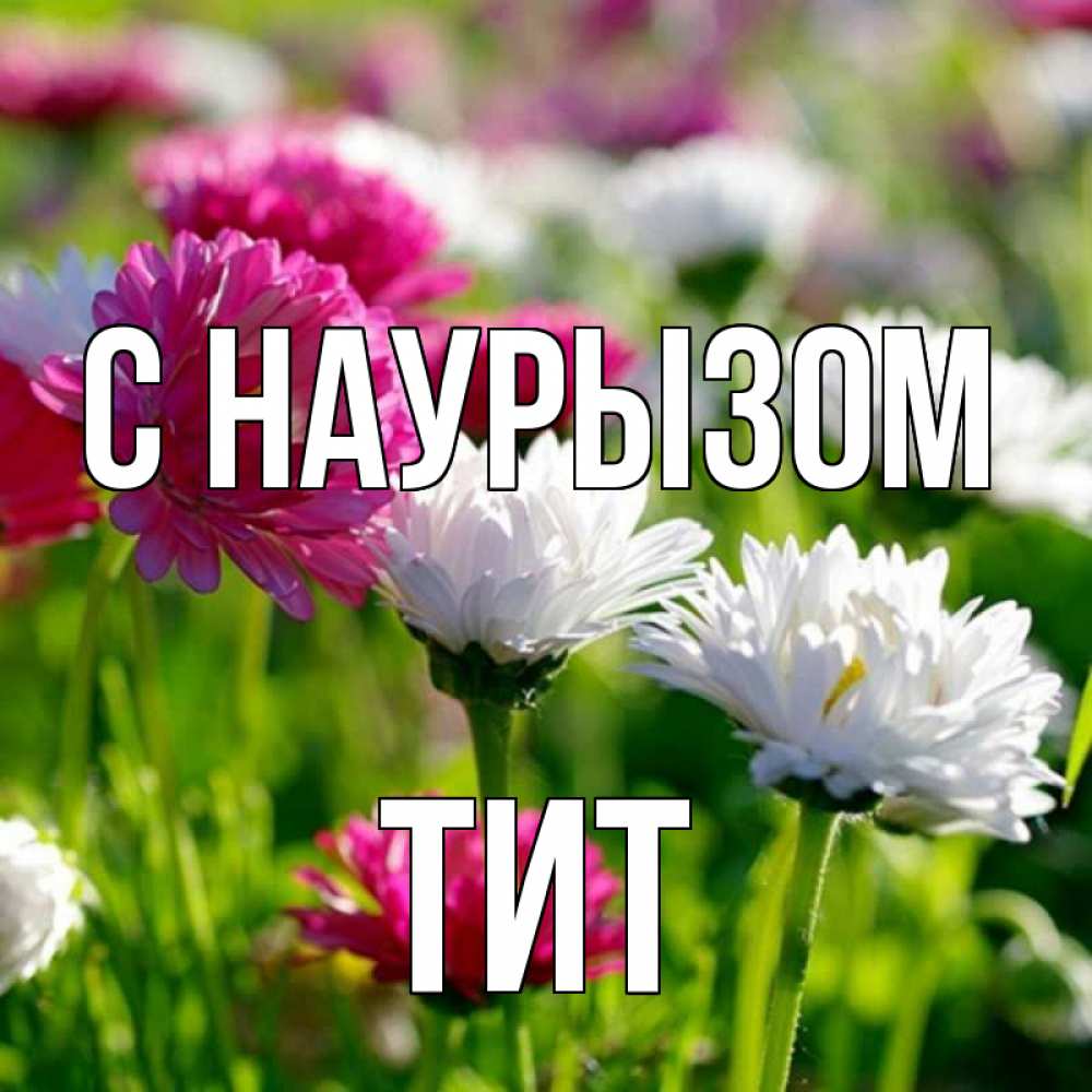 Открытка на каждый день с именем, Тит С наурызом праздник весны наурыз красота Прикольная открытка с пожеланием онлайн скачать бесплатно 