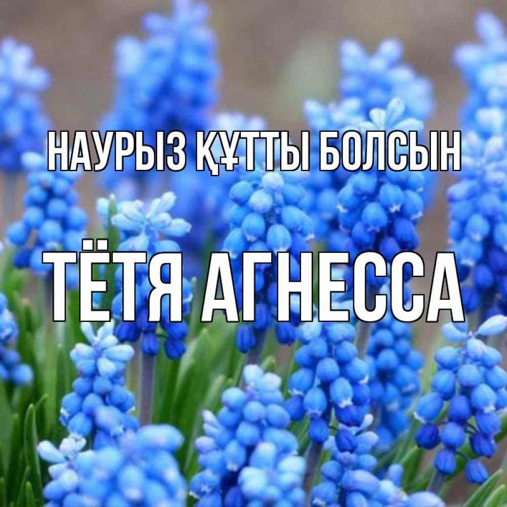 Открытка на каждый день с именем, Тётя-Агнесса Наурыз құтты болсын Поздравительная открытка для женщин с цветами на праздничную дату Прикольная открытка с пожеланием онлайн скачать бесплатно 