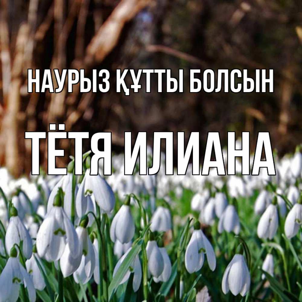 Открытка на каждый день с именем, Тётя-Илиана Наурыз құтты болсын с подснежниками 1 Прикольная открытка с пожеланием онлайн скачать бесплатно 