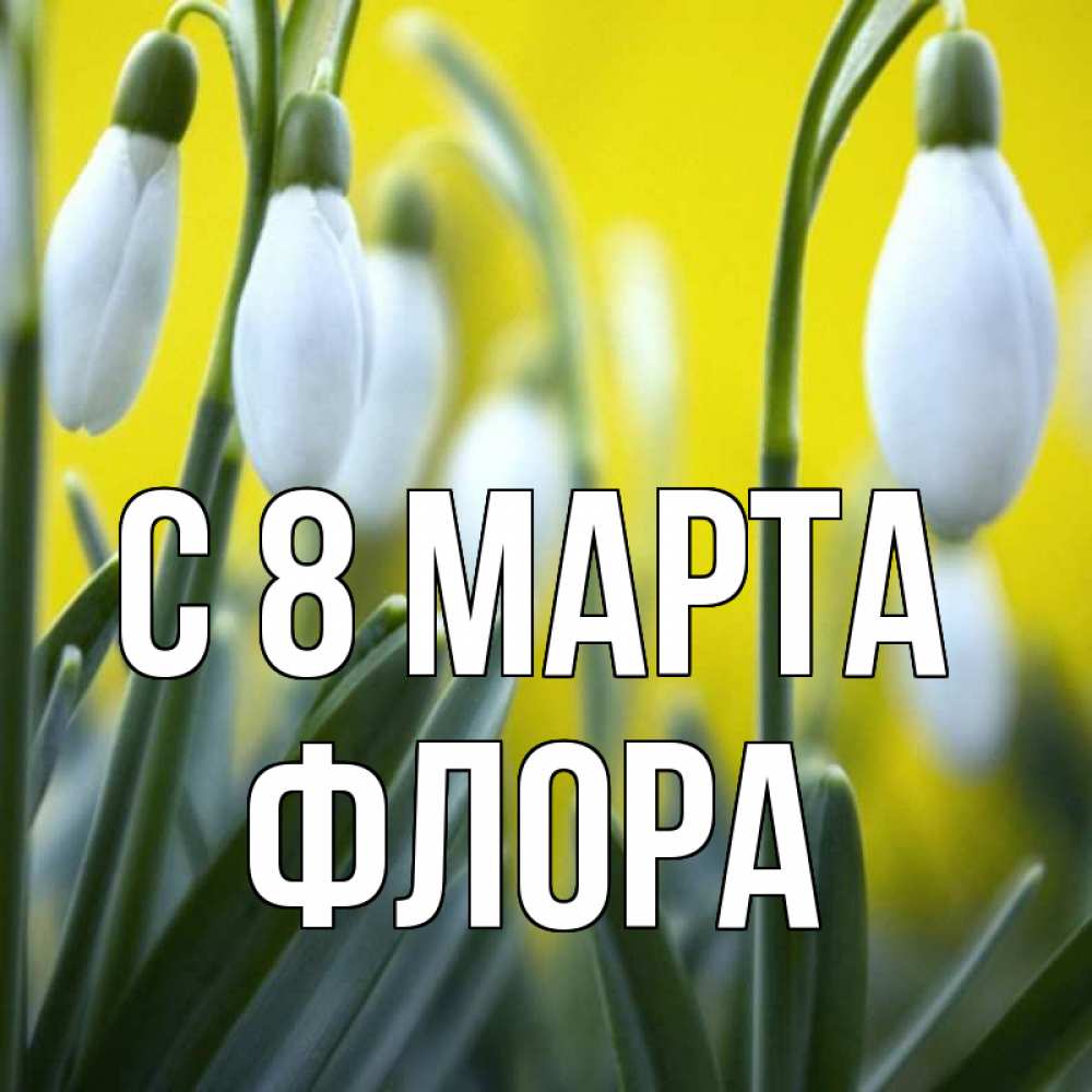 Открытка на каждый день с именем, Флора С 8 МАРТА весенние цветы Прикольная открытка с пожеланием онлайн скачать бесплатно 