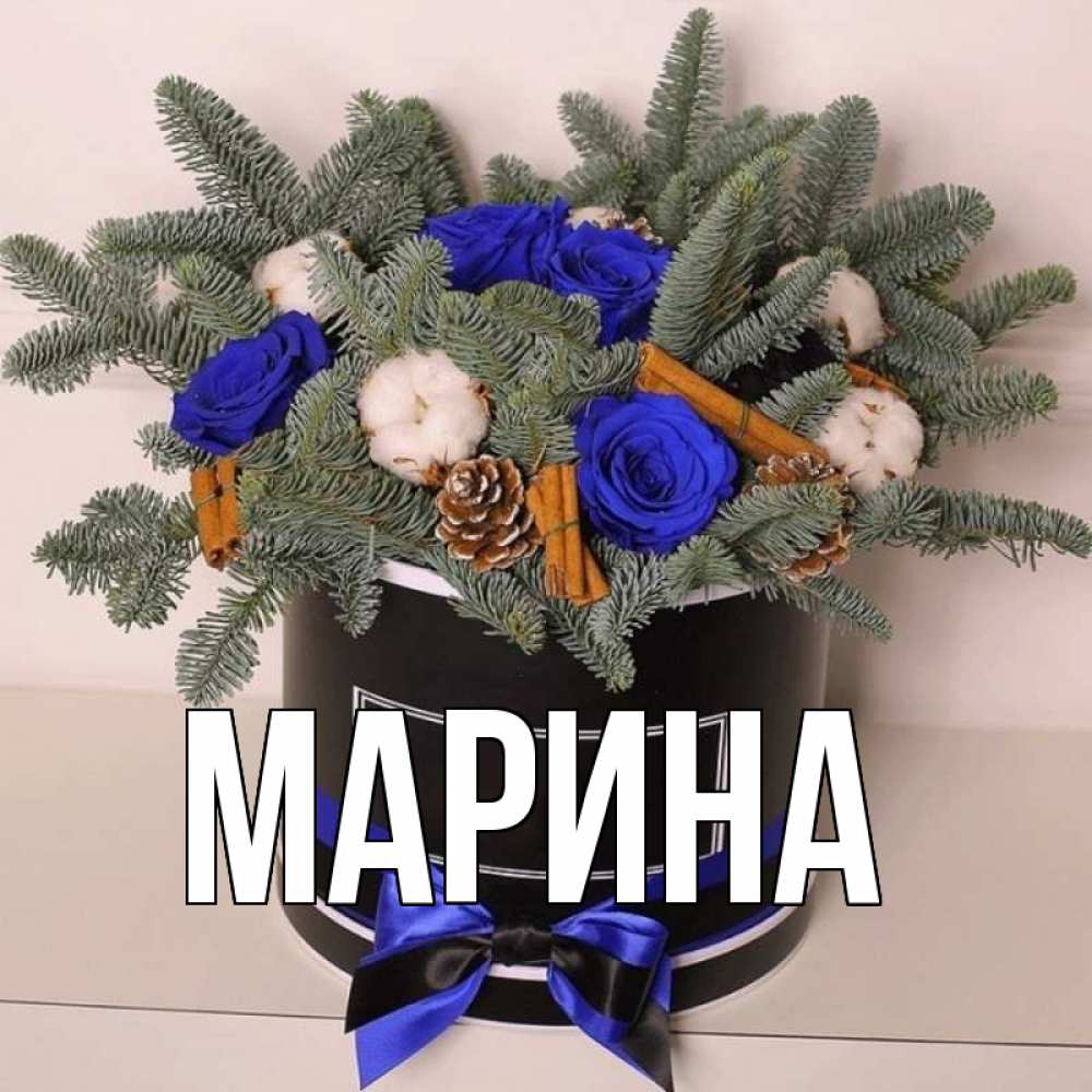 Открытка на каждый день с именем, Марина Главная короче кто то загрузил эти шишки Прикольная открытка с пожеланием онлайн скачать бесплатно 
