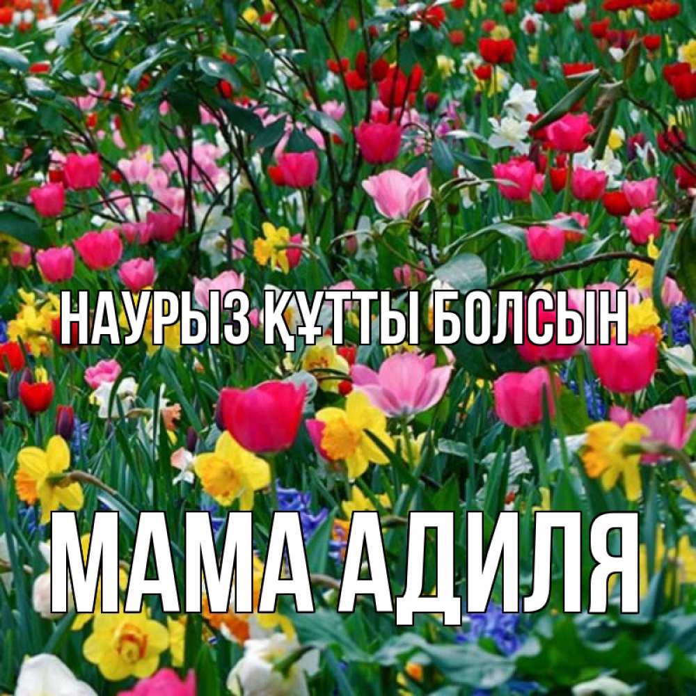 Открытка на каждый день с именем, Мама-Адиля Наурыз құтты болсын с наурызом поздравления для женщины Прикольная открытка с пожеланием онлайн скачать бесплатно 