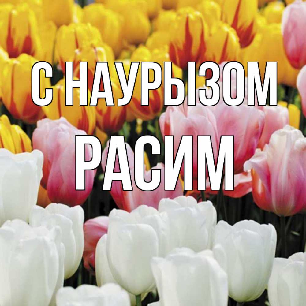 Открытка на каждый день с именем, Расим С наурызом разноцветные цветы Прикольная открытка с пожеланием онлайн скачать бесплатно 
