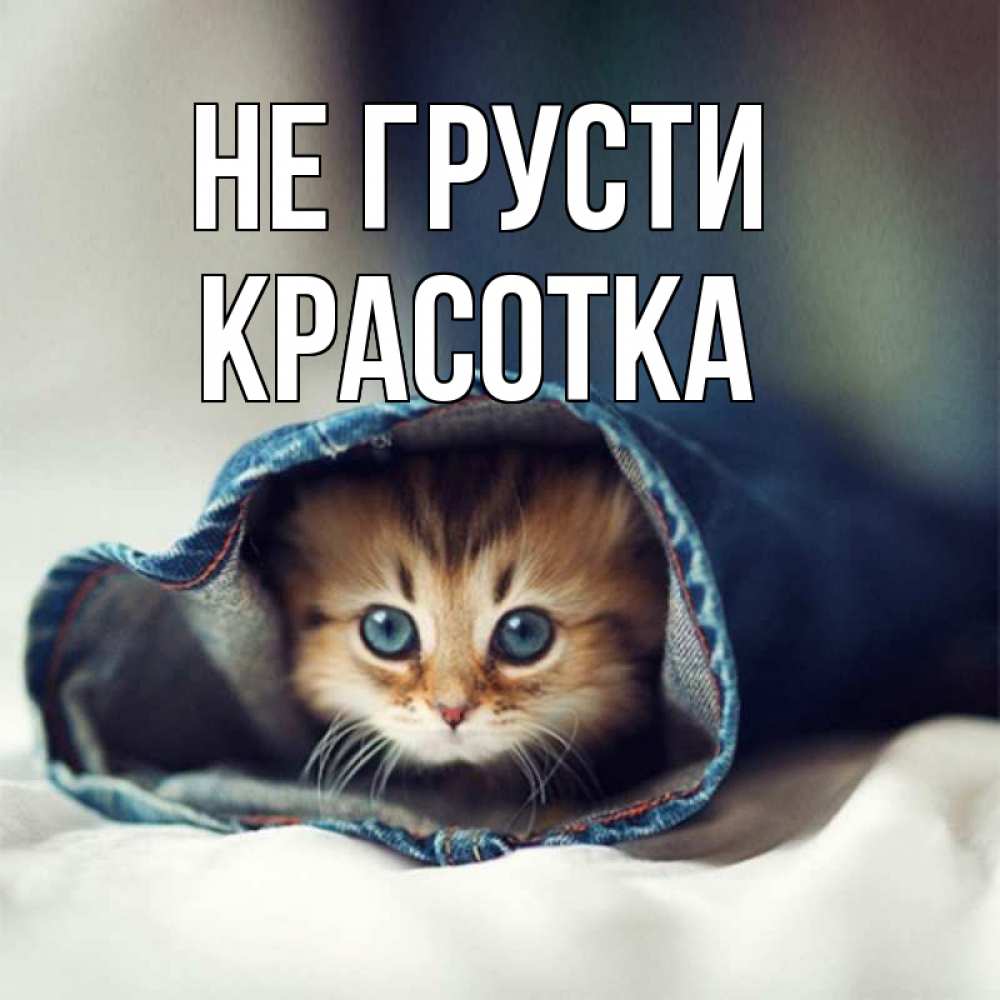 Картинка Не грусти, красотка