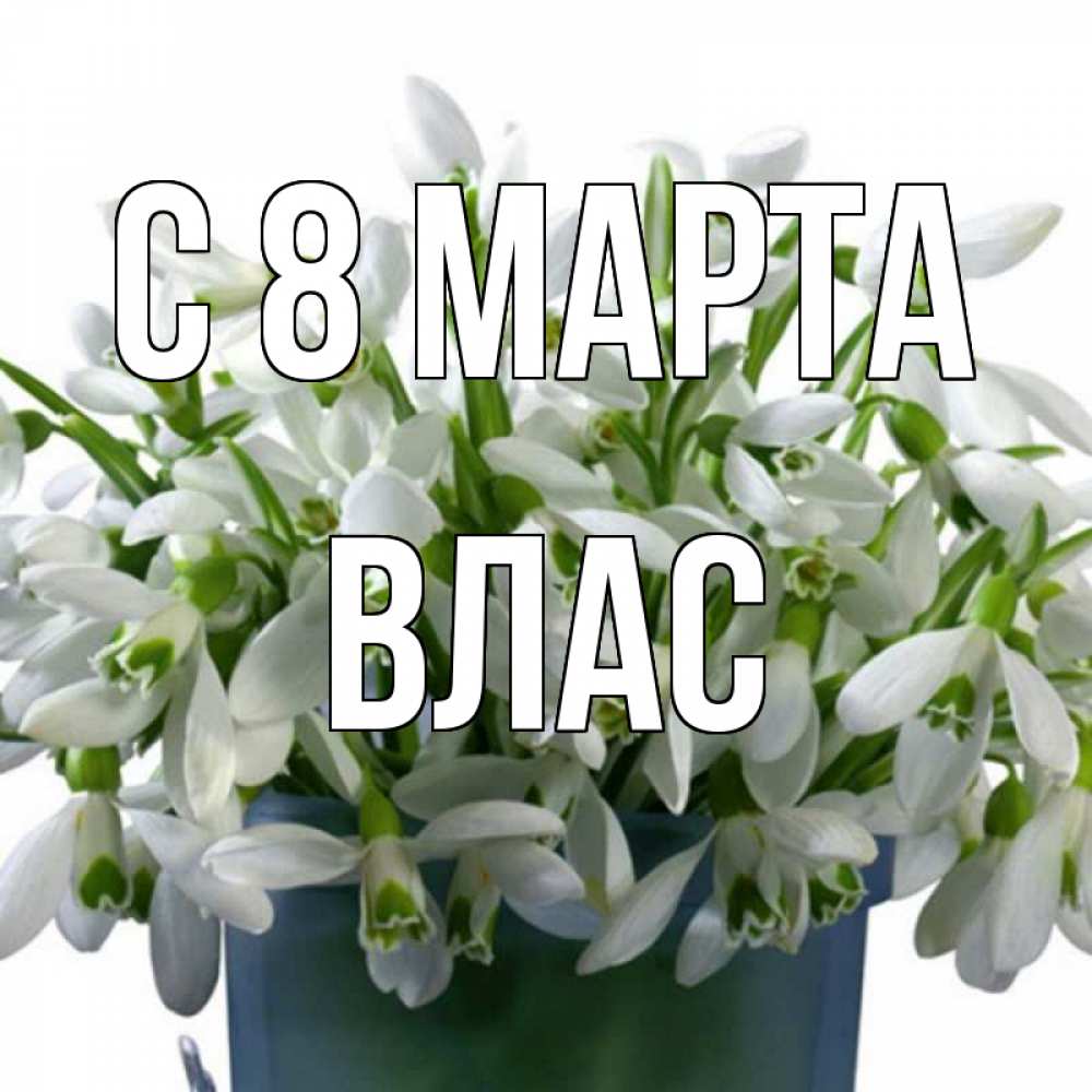 Картинка С 8 марта, Влас