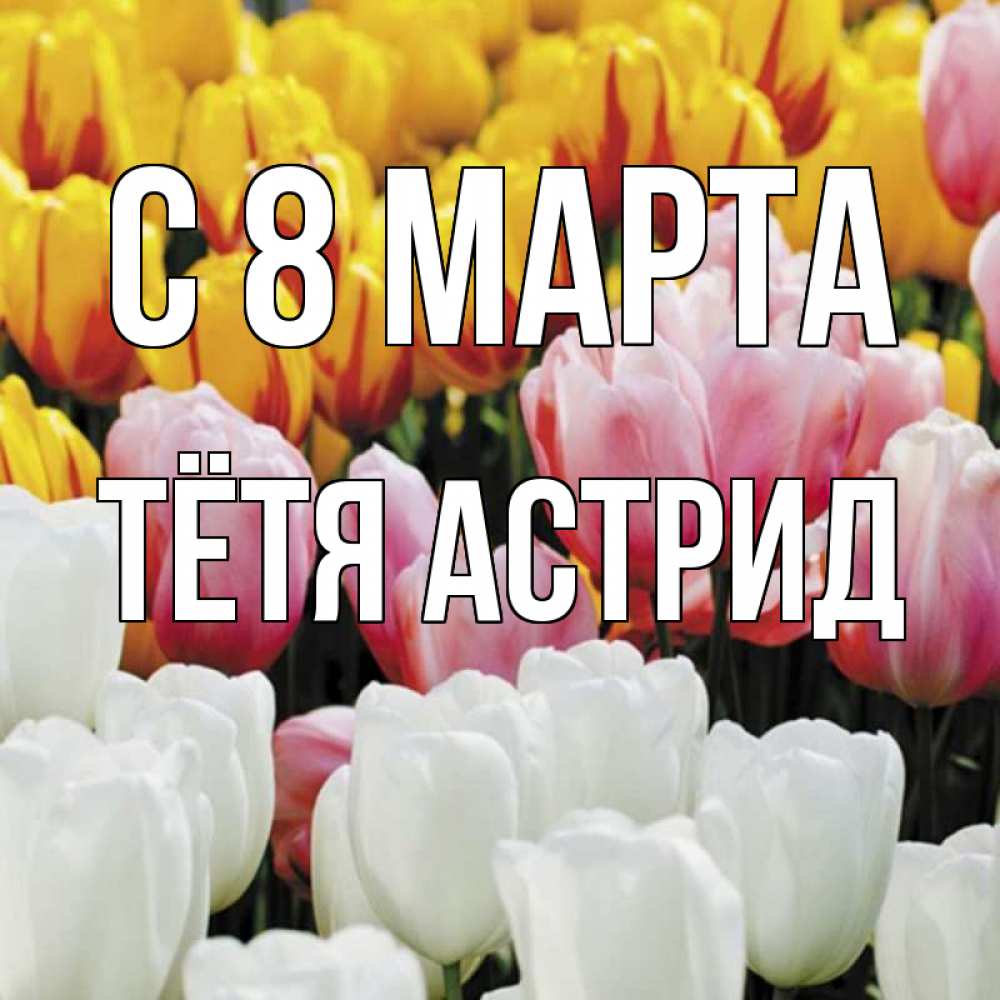 Открытка на каждый день с именем, Тётя-Астрид С 8 марта разноцветные цветы Прикольная открытка с пожеланием онлайн скачать бесплатно 
