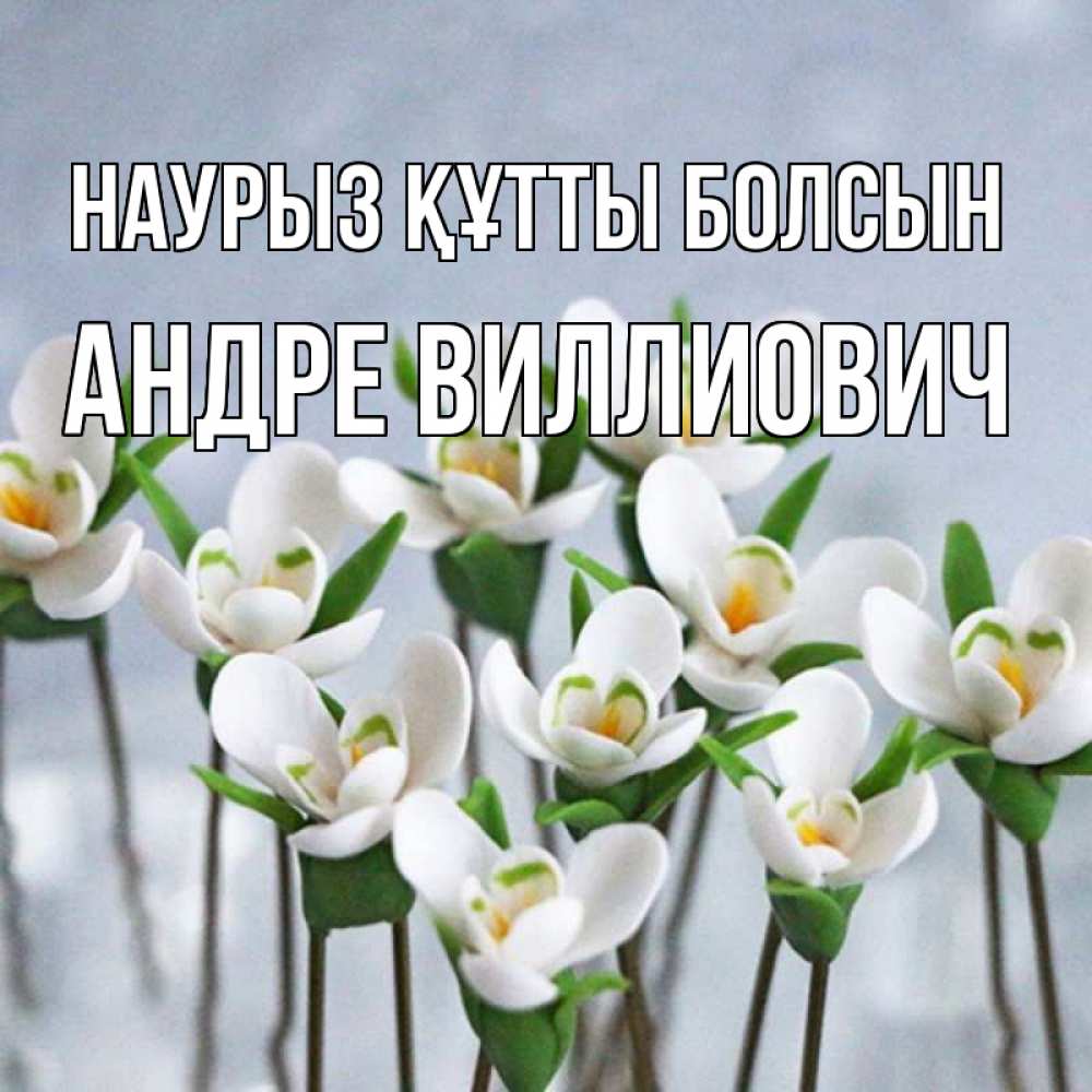 Открытка на каждый день с именем, Андре-Виллиович Наурыз құтты болсын весенние цветы Прикольная открытка с пожеланием онлайн скачать бесплатно 
