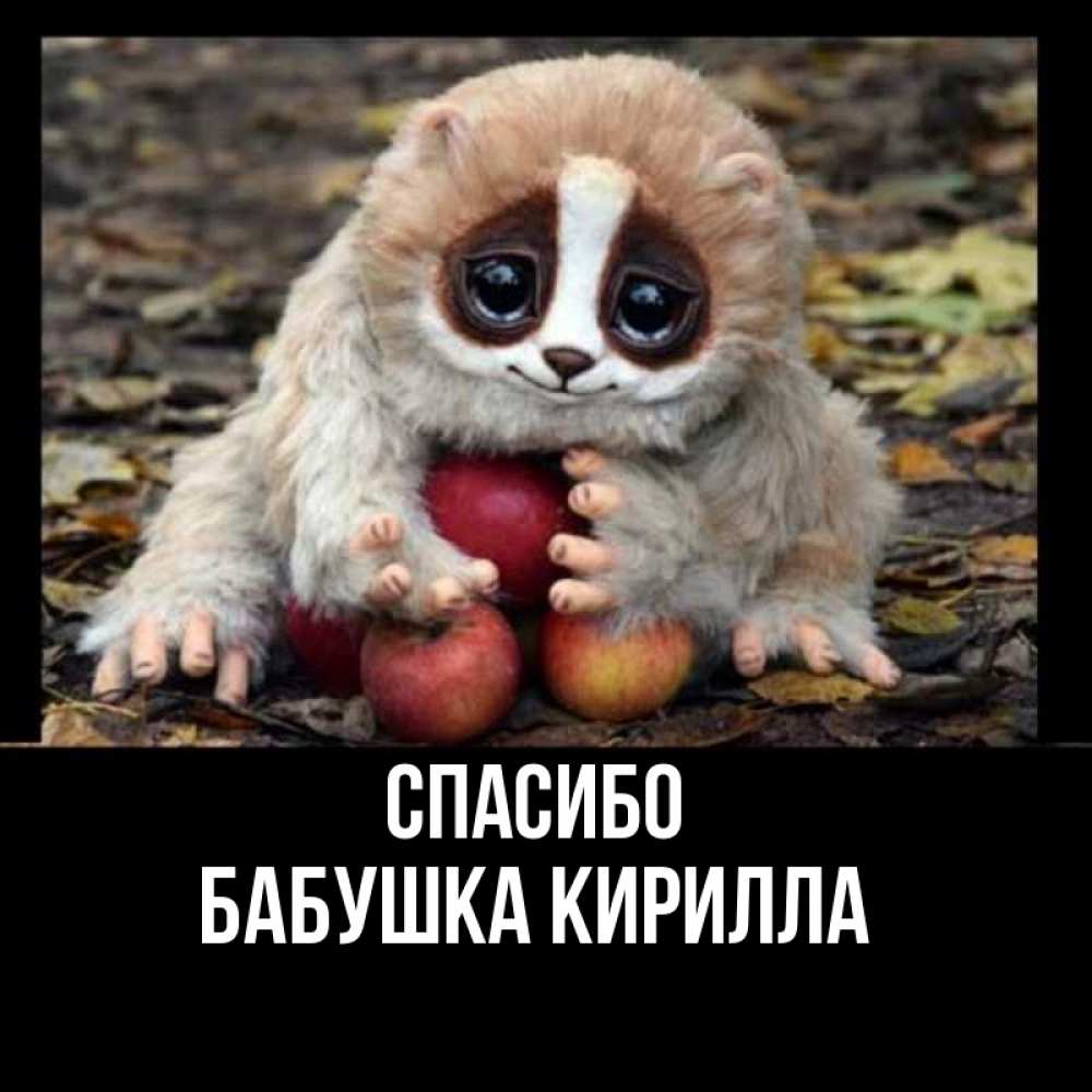 Открытка на каждый день с именем, Бабушка-Кирилла Спасибо прикольное животное Прикольная открытка с пожеланием онлайн скачать бесплатно 