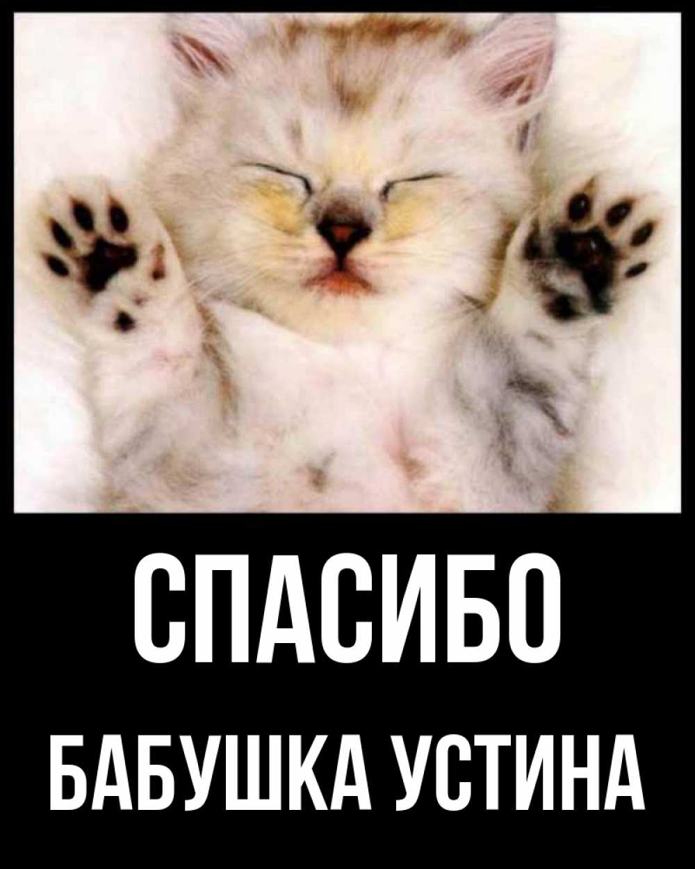 Открытка на каждый день с именем, Бабушка-Устина Спасибо маленький котенок Прикольная открытка с пожеланием онлайн скачать бесплатно 