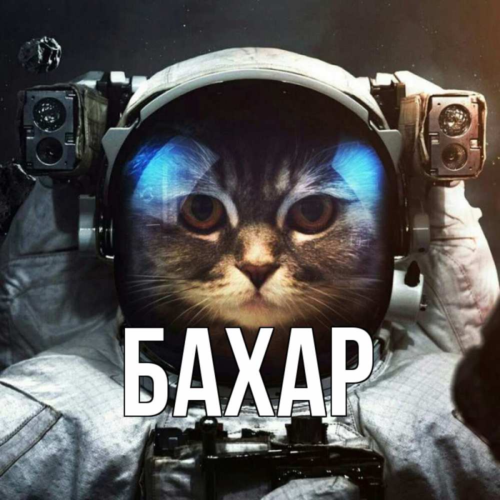 Открытка на каждый день с именем, Бахар Главная желает удачно добраться Прикольная открытка с пожеланием онлайн скачать бесплатно 