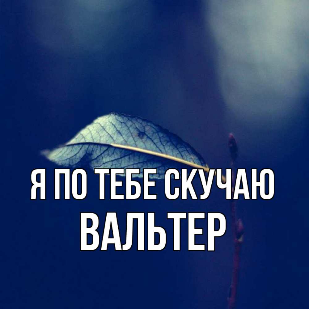 Открытка на каждый день с именем, Вальтер Я по тебе скучаю одна ветка 1 Прикольная открытка с пожеланием онлайн скачать бесплатно 