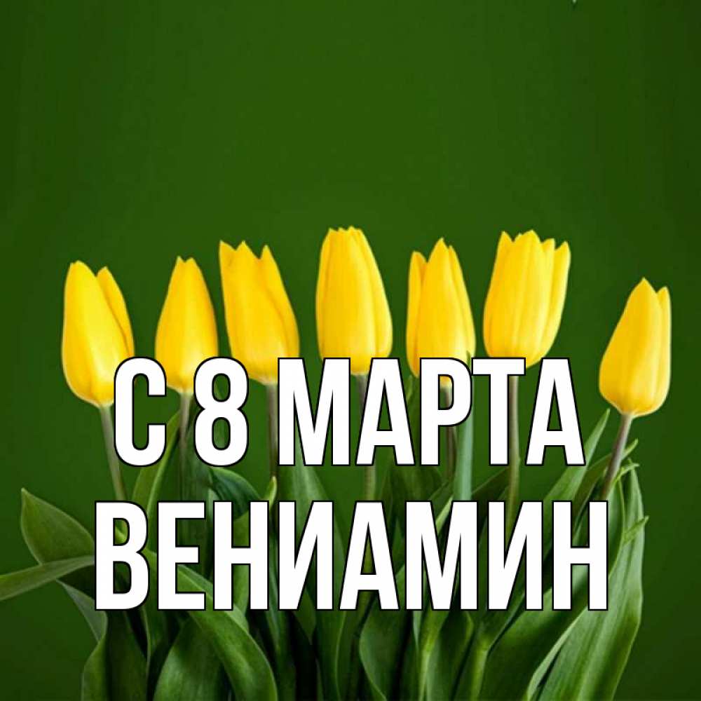 Открытка на каждый день с именем, Вениамин С 8 МАРТА желтого цвета 3 Прикольная открытка с пожеланием онлайн скачать бесплатно 