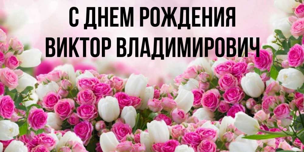 Открытка на каждый день с именем, Виктор-Владимирович С днем рождения открытка с разными розами Прикольная открытка с пожеланием онлайн скачать бесплатно 