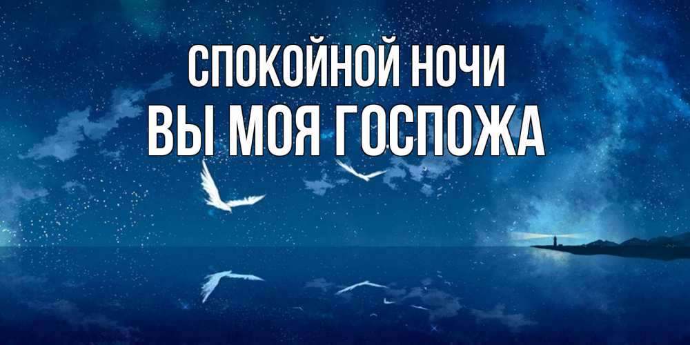 Открытка на каждый день с именем, Вы-моя-Госпожа Спокойной ночи птицы летят на фоне ночного неба Прикольная открытка с пожеланием онлайн скачать бесплатно 