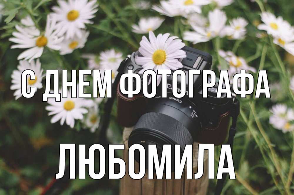 Открытка на каждый день с именем, Любомила С днем фотографа с днем фотографа Прикольная открытка с пожеланием онлайн скачать бесплатно 