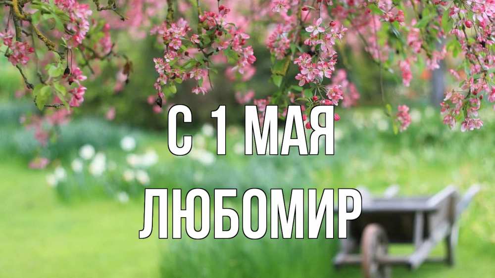 Открытка на каждый день с именем, Любомир С 1 мая С 1 мая Прикольная открытка с пожеланием онлайн скачать бесплатно 
